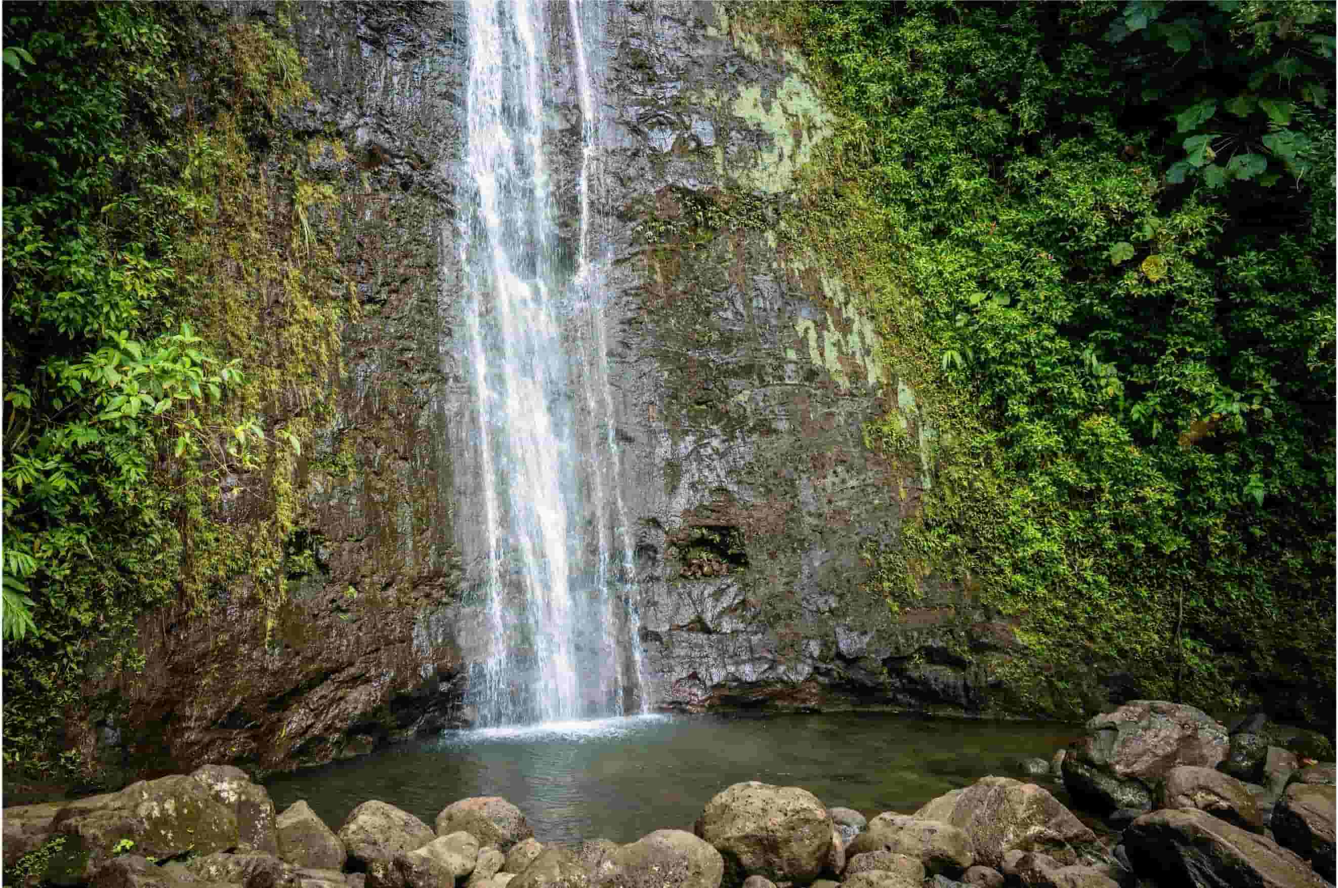 Manoa Falls